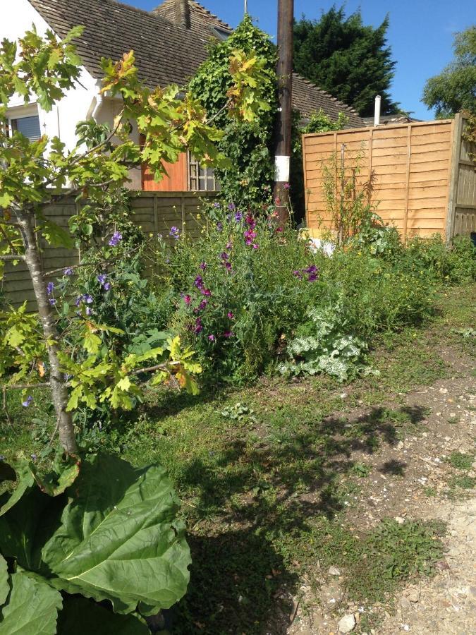 Saltdean Apple Tree Houseヴィラ エクステリア 写真